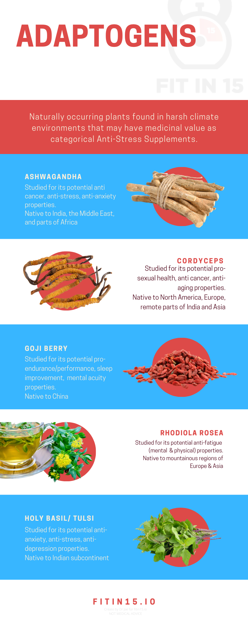 infographic-adaptogens